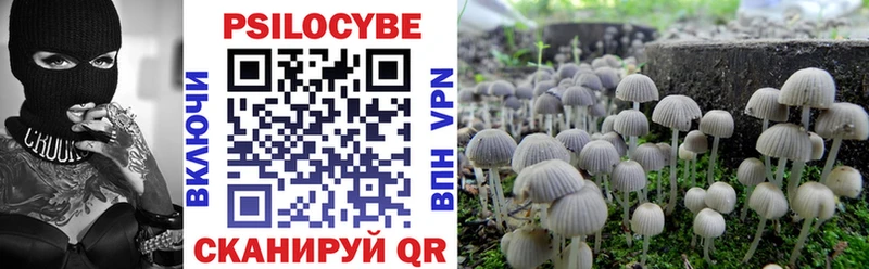 Галлюциногенные грибы Psilocybine cubensis  Купить закладки  Кремёнки 